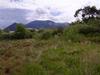 Des Montes
